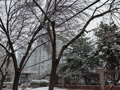 -丝路传奇·中国拉面航母店(北医三院店)