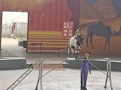 -石家庄市动物园