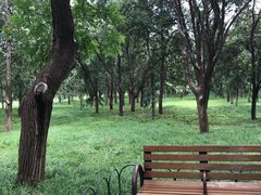 -北京稻香村(天桥乐汇百货商场店)