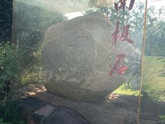 -吴淞炮台湾湿地森林公园烧烤区