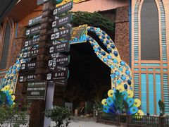 -西双版纳原始森林公园