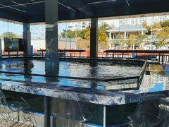 -SHRIMP CLUB万东餐饮钓虾·清吧