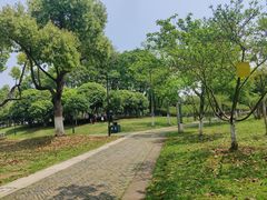 -月湖风景区