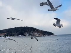 -烟墩角天鹅湖