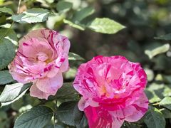 -莲池书院博物馆