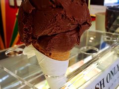 -Dooley's Premium Ice Cream
