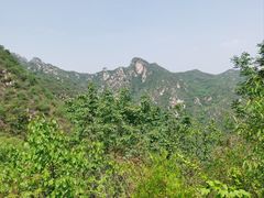 -大岭沟猕猴桃谷风景区