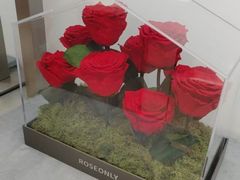 -ROSEONLY诺誓(广州K11店)