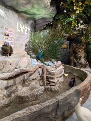 -Zoolung Zoolung动物主题公园(海信广场店)