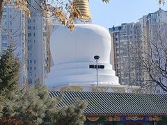 -护国法轮寺