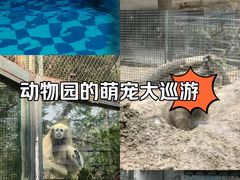 -郑州市动物园