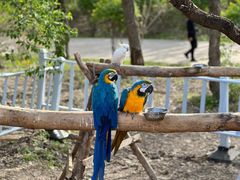 -哈尔滨北方森林动物园