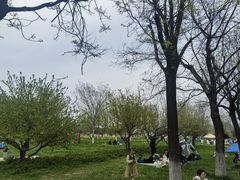 -汉长安城未央宫国家考古遗址公园