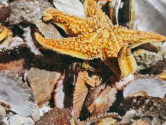 -永红源啤酒·烧烤·海鲜·大排档(青特城店)