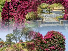 -东莞植物园