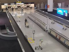 -青岛胶东国际机场