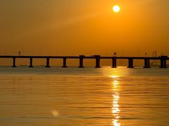 -宝安西湾红树林湿地公园