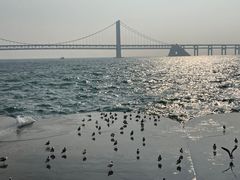 -星海广场