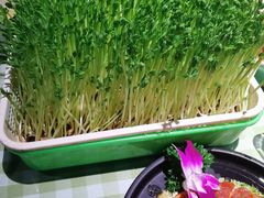 -番食园鲜食火锅(高新店)