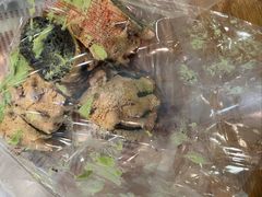 -爱维尔阳光蛋糕(独墅湖邻里中心店)