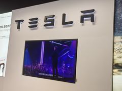 -TESLA 特斯拉(上海太古汇体验店)