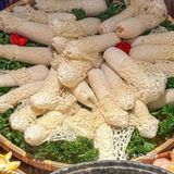 在长沙吃到云南的菇，鲜掉眉毛