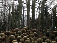 -南山植物园