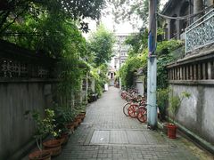 -猫色咖啡·猫咖