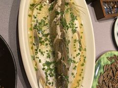 鸡汁大白鱼-海天楼中餐厅(吴宫泛太平洋酒店)