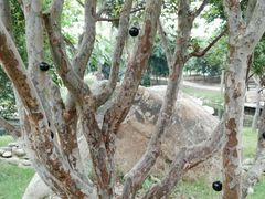 -南通洲际绿博园