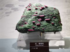 -甘肃地质博物馆