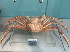 -陕西自然博物馆