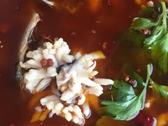 水煮乌鱼花-重庆乌鱼庄·龙滋鲜(青羊大道店)