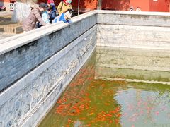 -大觉寺-停车场