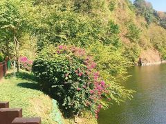 景点-王借岗森林公园