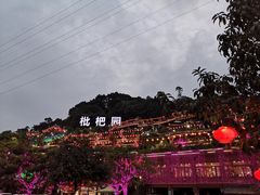 -枇杷园食为鲜火锅(南山店)