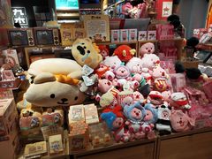 -九木杂物社(新奥购物中心店)