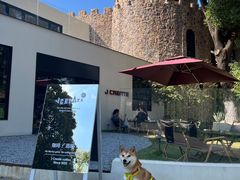 -J Create城市露营咖啡·简餐·宠物(上海动物园店)