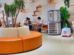 -藏猫猫咖啡主题馆(中央大道店)