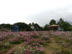 -广州市流溪河国家森林公园