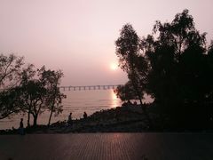 -宝安西湾红树林湿地公园