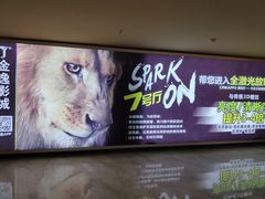 -金逸影城(明发店)