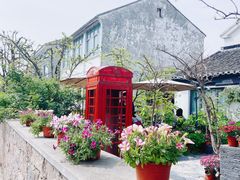 -树山生态村