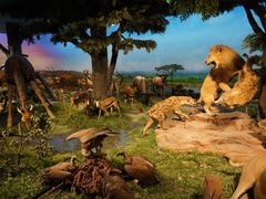 -国家自然博物馆