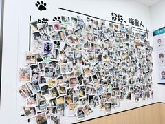 -瑞派·关忠动物医院·猫专科·犬专科(三环新城店)