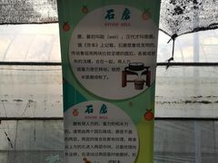 -前小桔亲子创意农场·草莓采摘·露营烧烤