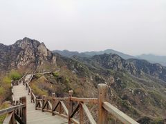 -大岭沟猕猴桃谷风景区