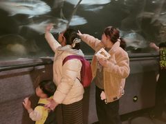-大连圣亚海洋世界