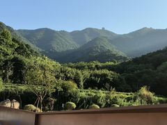 -北仑森林植物园