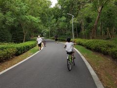 -昆山城市生态森林公园